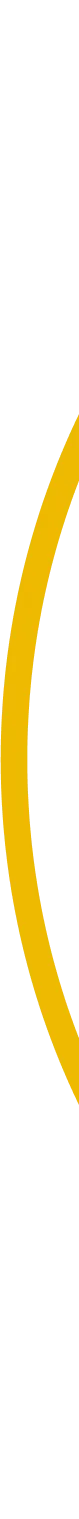 background da seção