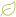 Folha verde